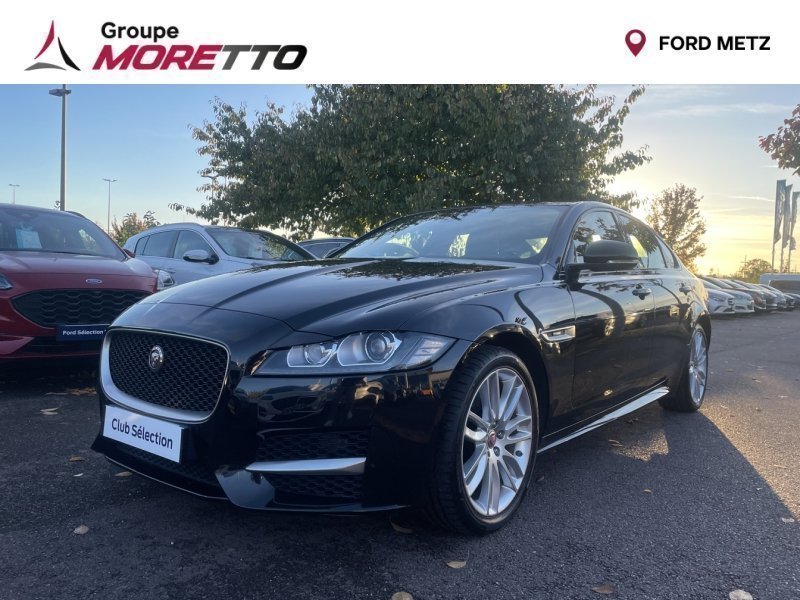 jaguar - Visuel 0