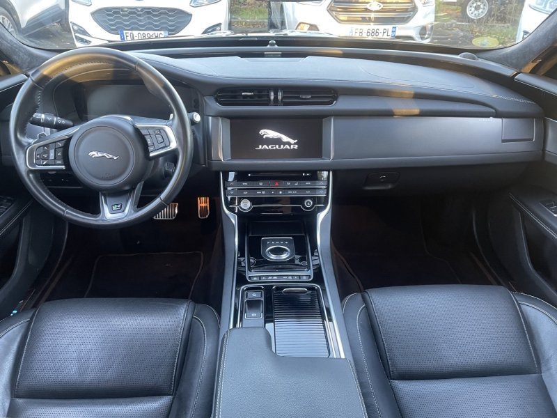 jaguar - Visuel 6