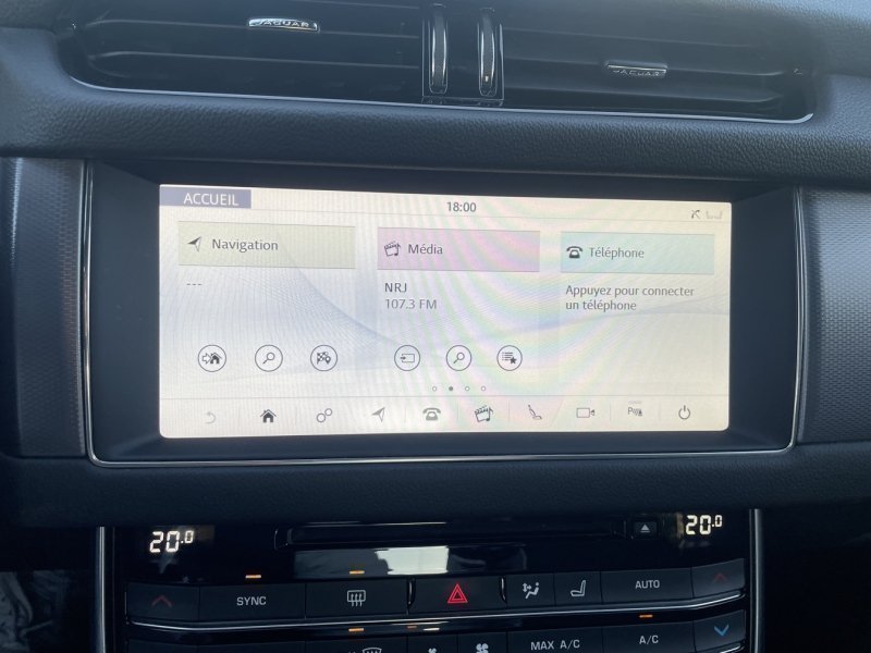 jaguar - Visuel 9
