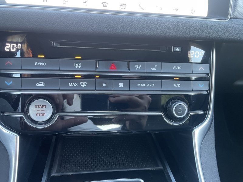 jaguar - Visuel 11